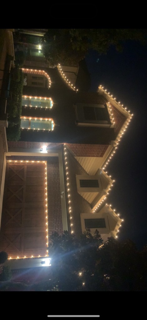 White tree and roofline lighting with warm wall washes