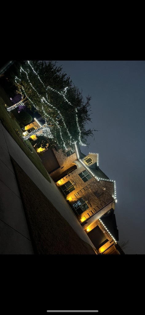 White tree wrap with matching roofline lights